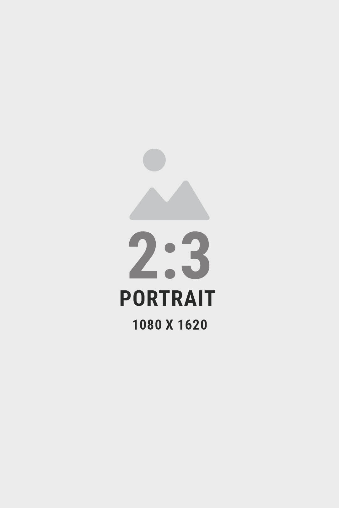 1080 x 1620 Portrait AR 2.3